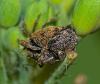 336938 – Photo : Florian ALONSO – France (69)